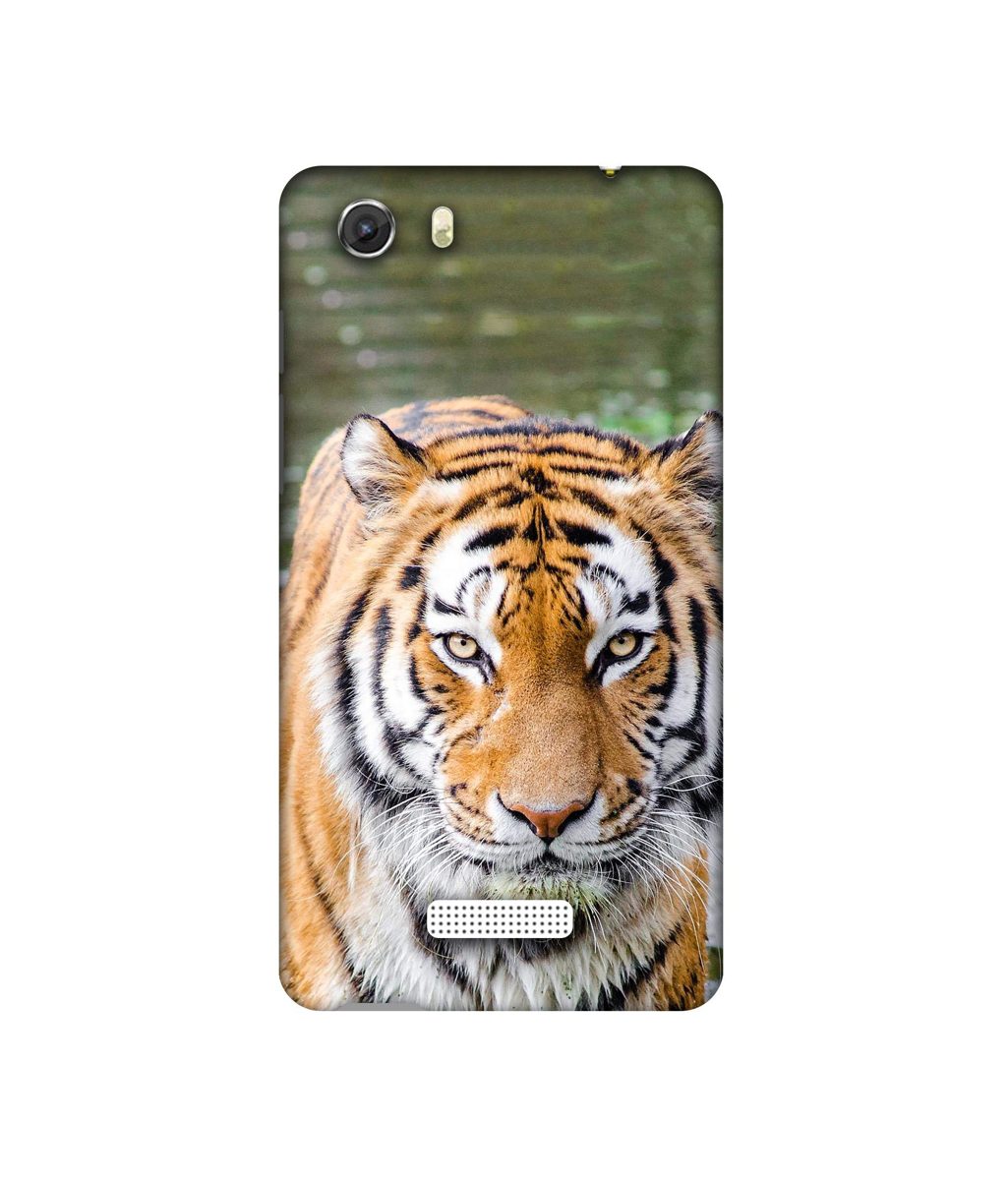 Amazon Brand - Solimo Designer Tiger in Water 3D Printed Hard Back Case Mobile Cover for Micromax Canvas Unite 3 Q372