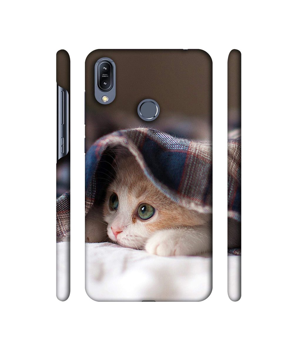 Amazon Brand - Solimo Designer Sleepy Kitten 3D Printed Hard Back Case Mobile Cover for Asus Zenfone Max (M2) ZB633KL