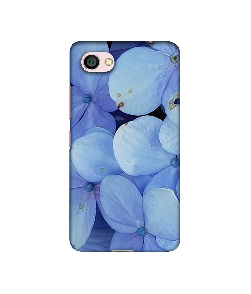 Amazon Brand - Solimo Designer Light Blue Flower Photography 3D Printed Hard Back Case Mobile Cover for Xiaomi Redmi Y1 Lite