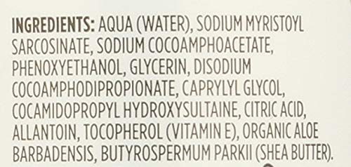 365 Everyday Value, Foaming Hand Soap, Fragrance Free, 12 fl oz