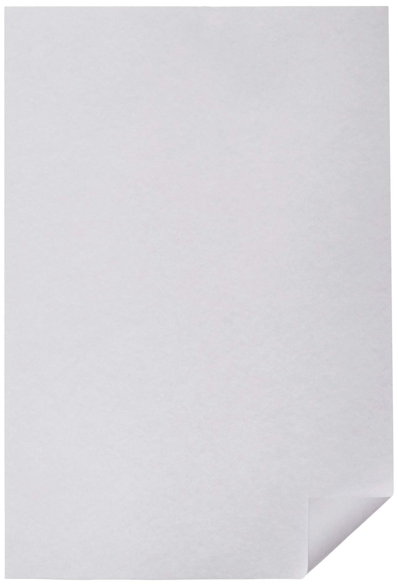 AmazonBasics 75 GSM A4 Multi-purpose Copier Paper (1 Ream, 500 sheets)