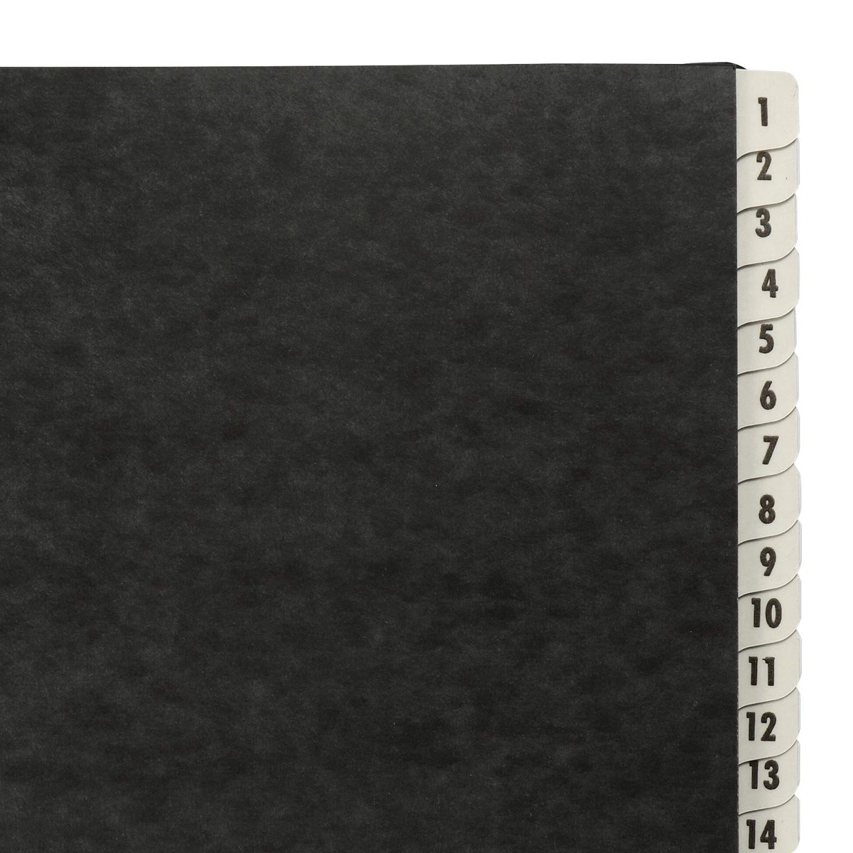 AmazonBasics 1-31 Daily Desk File Sorter, Letter Size