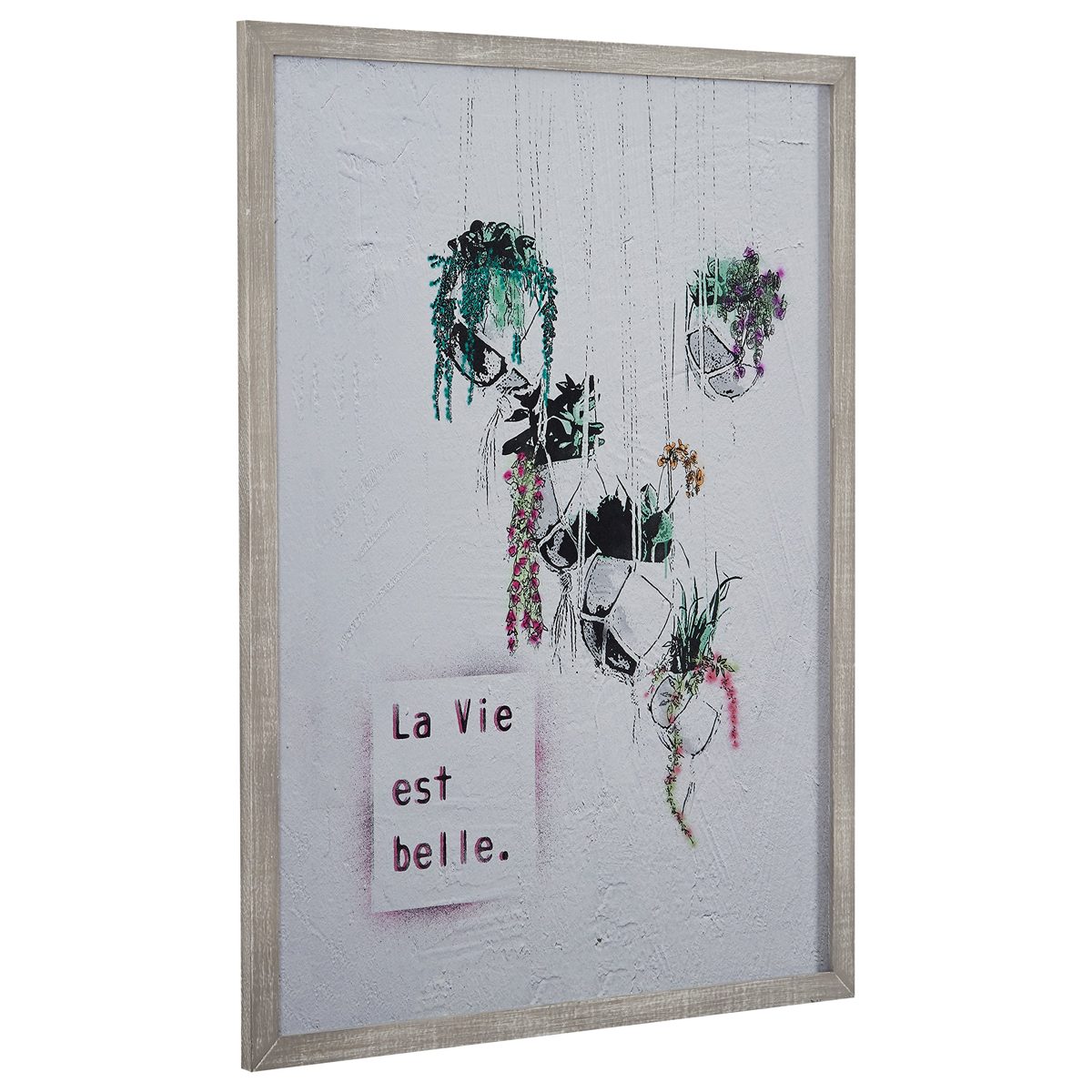 Amazon Brand – Rivet Life is Beautiful Hanging Plants Print Wall Art in Gray Wood Frame, 30.5" x 40.5"
