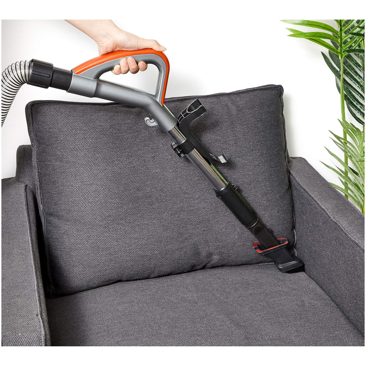 Amazonbasics Upright Vacuum Cleaner with High Efficiency Motor [AB500], Bagless, 3.0 L, 700 Watt