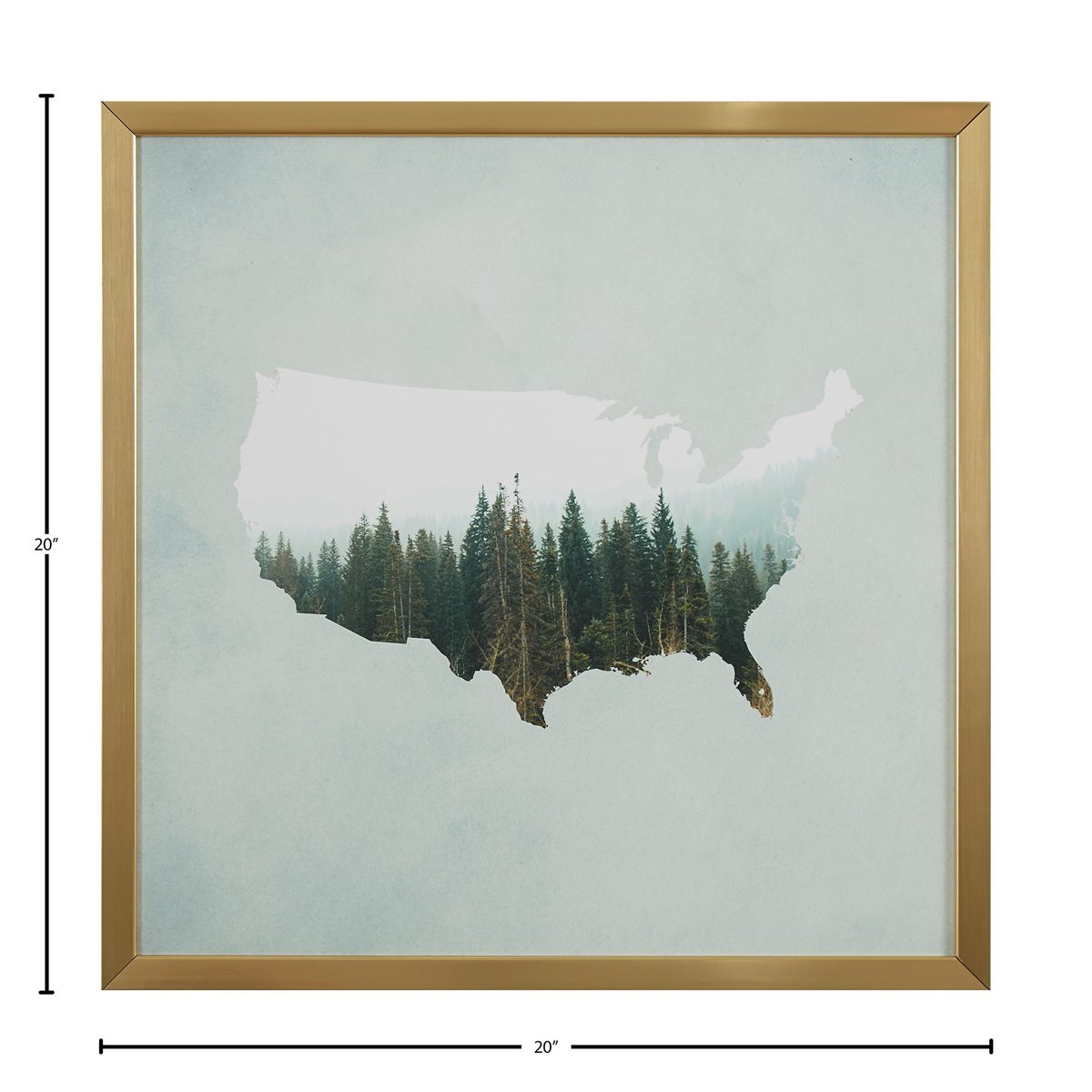 Amazon Brand – Rivet American Forest Map Wall Art Print in Gold Wood Frame, 20" x 20"
