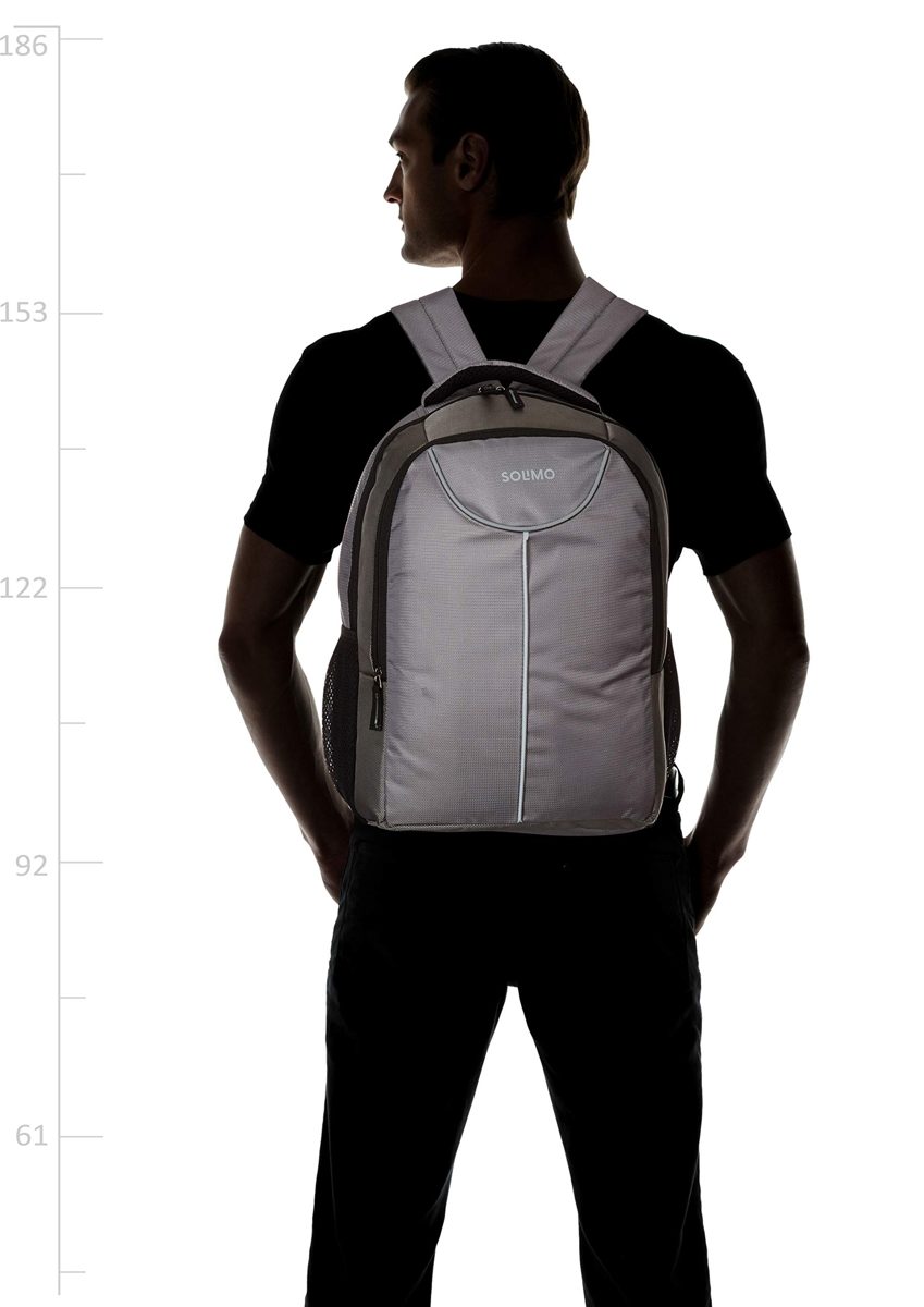 Amazon Brand - Solimo Laptop Backpack for 15.6-inch Laptops (27 litres, Grey)