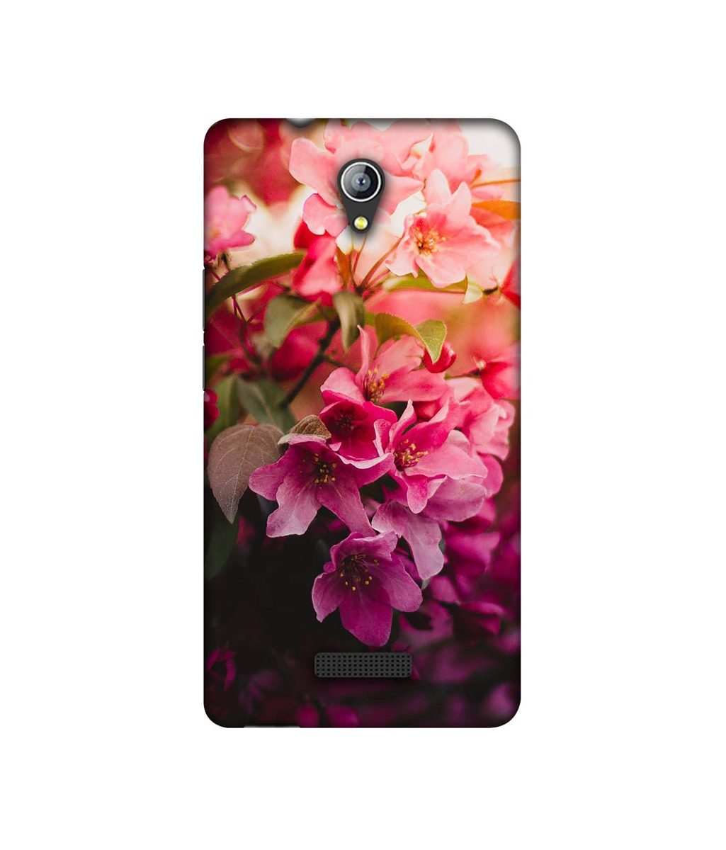 Amazon Brand - Solimo Designer Blossom Weather 3D Printed Hard Back Case Mobile Cover for Micromax Canvas Pace 4G Q416