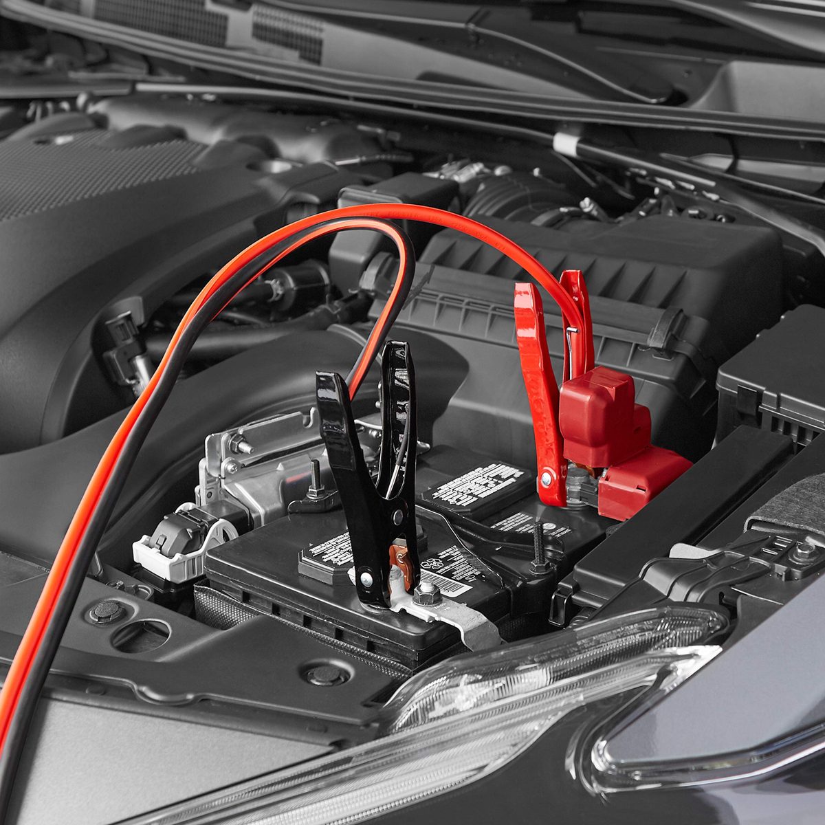 AmazonBasics 4.88m 3.3mm Diameter Car Battery Jump Starter Cable