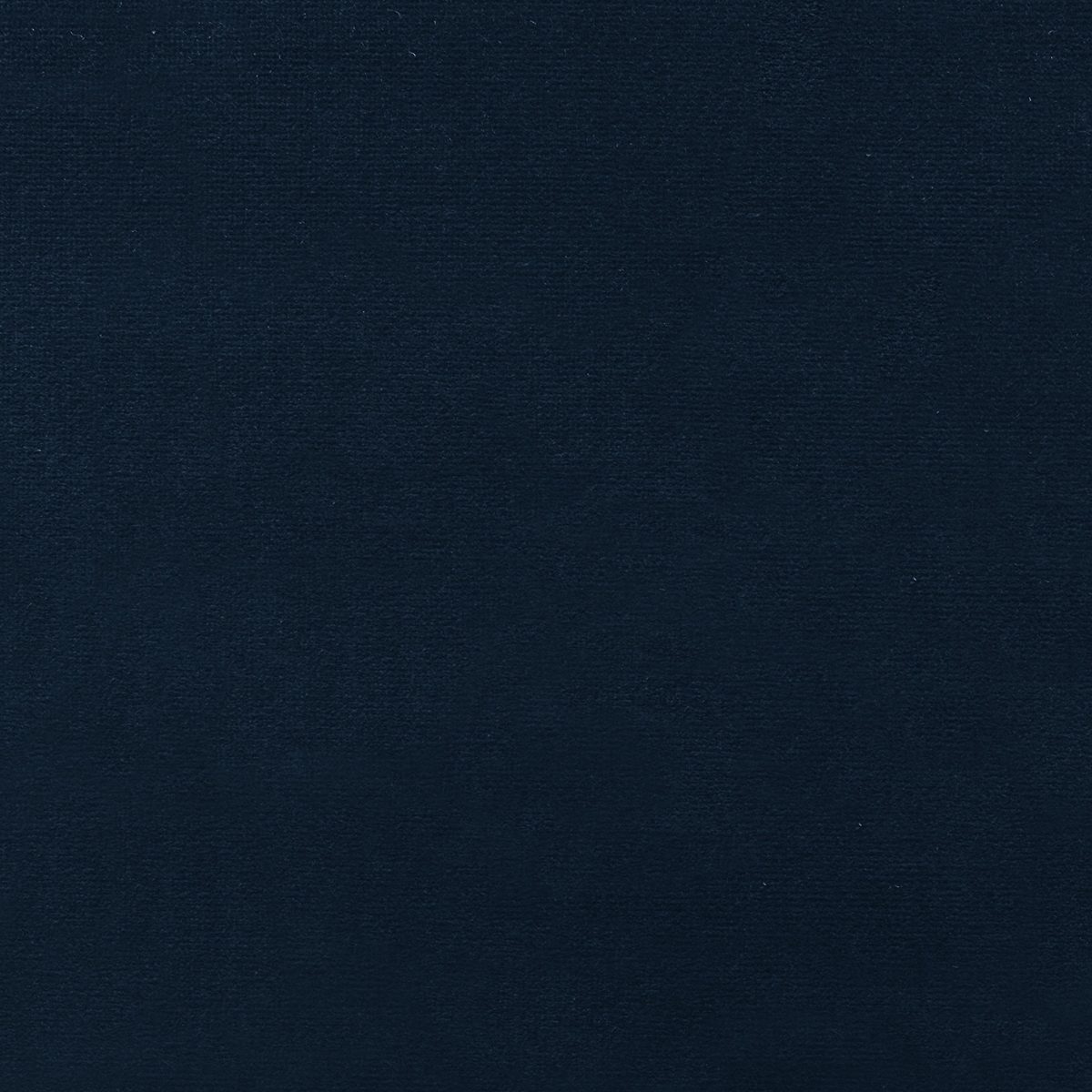 Amazon Brand – Rivet Eva Mid-Century Modern Tufted Velvet Down-Filled Loveseat Sofa Couch, 60.5"W, Navy