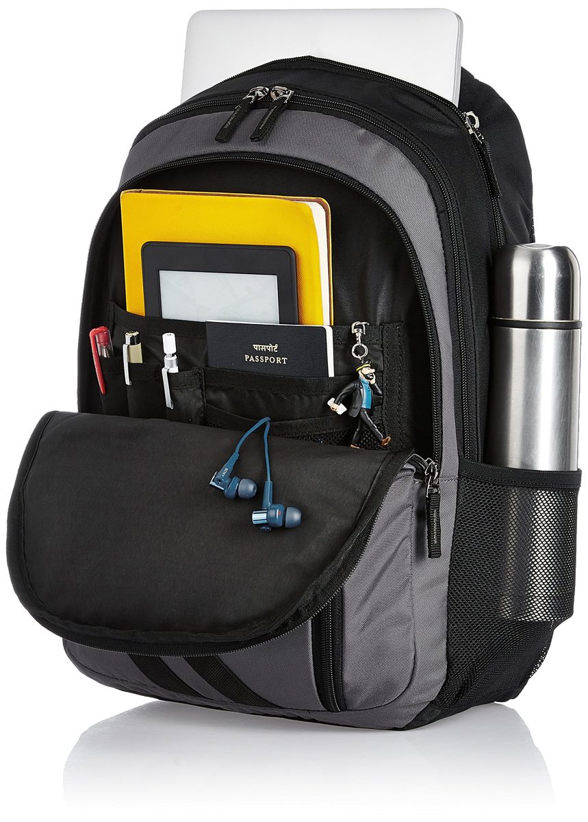 Amazon Brand - Solimo Travel Backpack (29 litres, Metallic Grey & Coal Black)