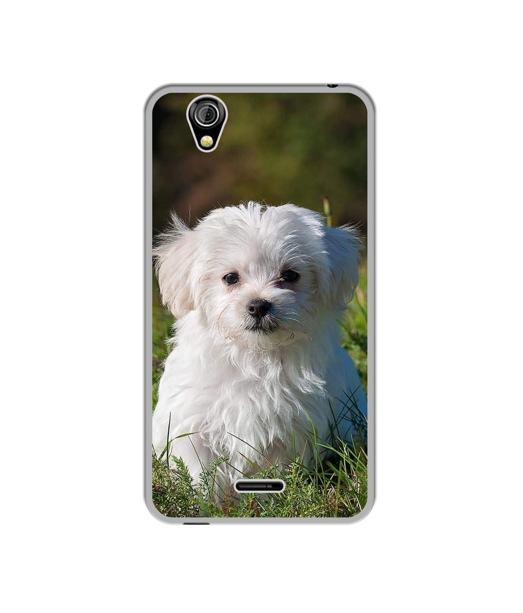 Amazon Brand - Solimo Designer White Dog UV Printed Soft Back Case Mobile Cover for Gionee P5 Mini