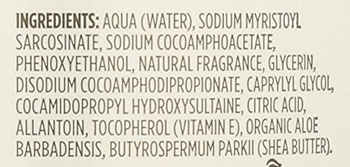 365 EVERYDAY VALUE Lavender Foaming Hand Soap, 64 FZ