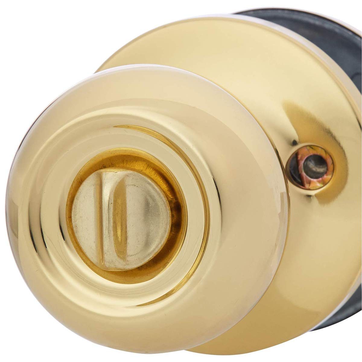 AmazonBasics Exterior Door Knob With Lock, Coastal, Polished Brass