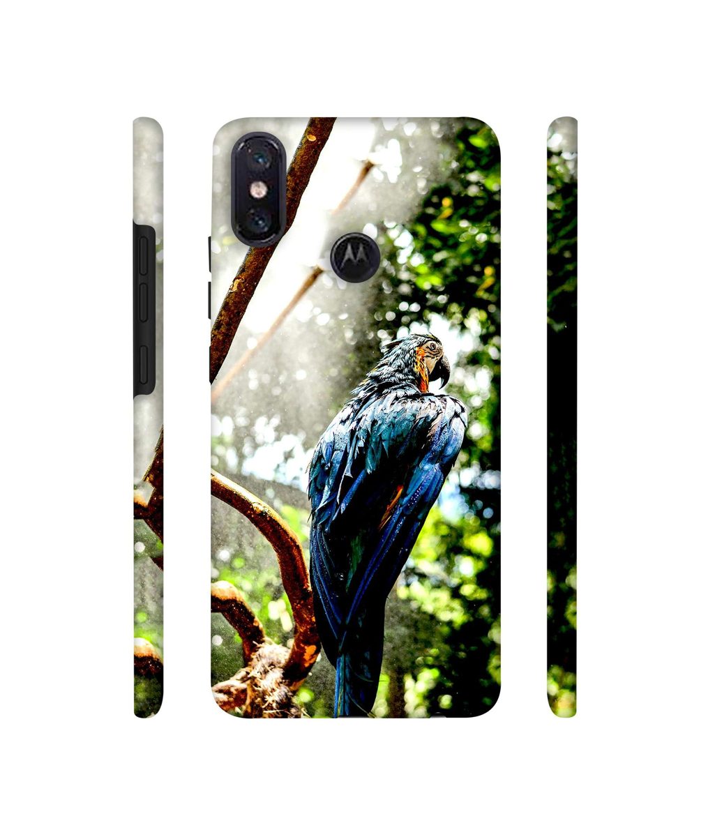 Amazon Brand - Solimo Designer Macaw Parrot 3D Printed Hard Back Case Mobile Cover for Motorola One Power