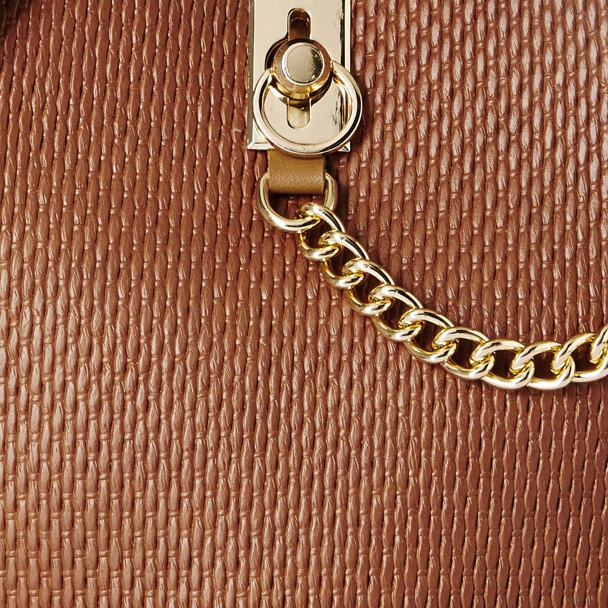 Flavia Women's Handbag (Brown)