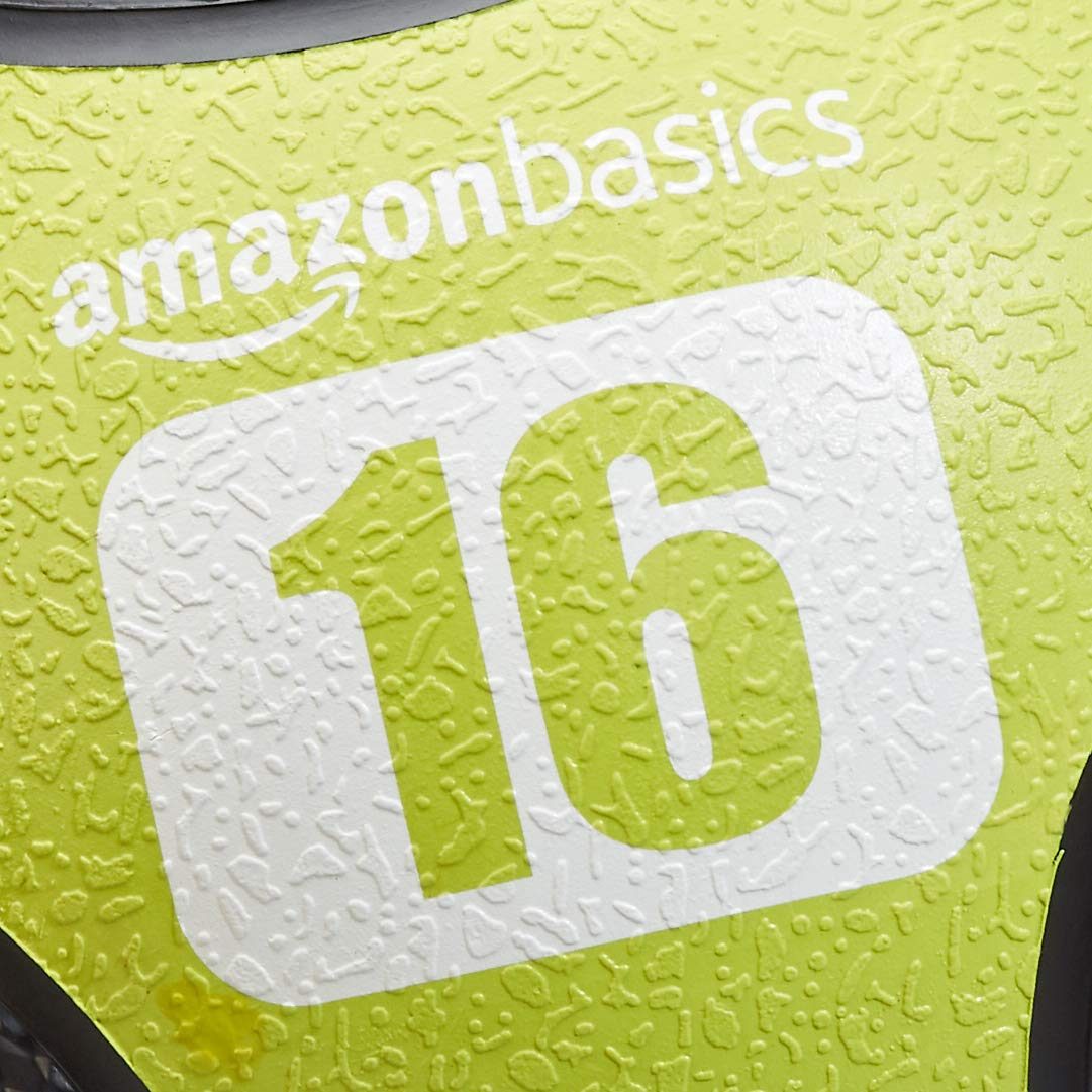 AmazonBasics Double Grip Type Medicine Ball - 10-Pound