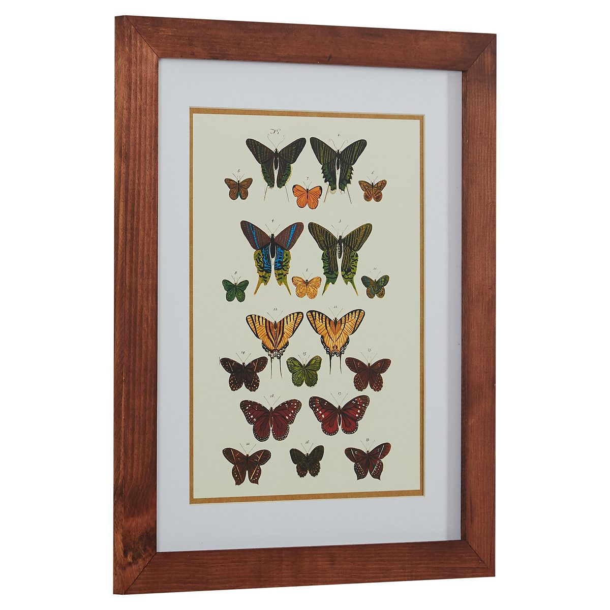 Modern Green and Gold Butterfly Print
