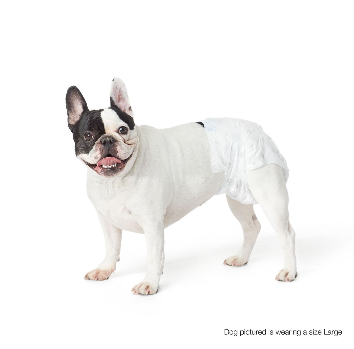AmazonBasics Dog Diaper