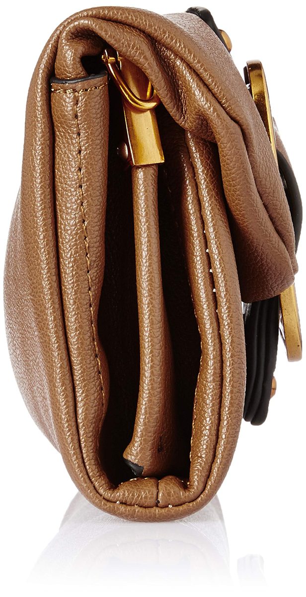 Flavia Women's Handbag (Brown)