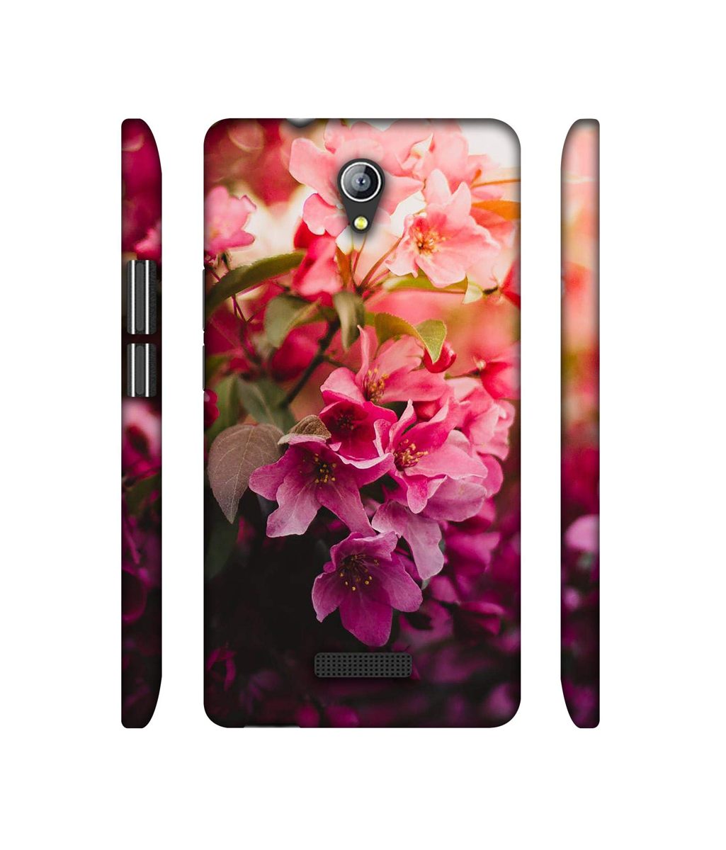 Amazon Brand - Solimo Designer Blossom Weather 3D Printed Hard Back Case Mobile Cover for Micromax Canvas Pace 4G Q416