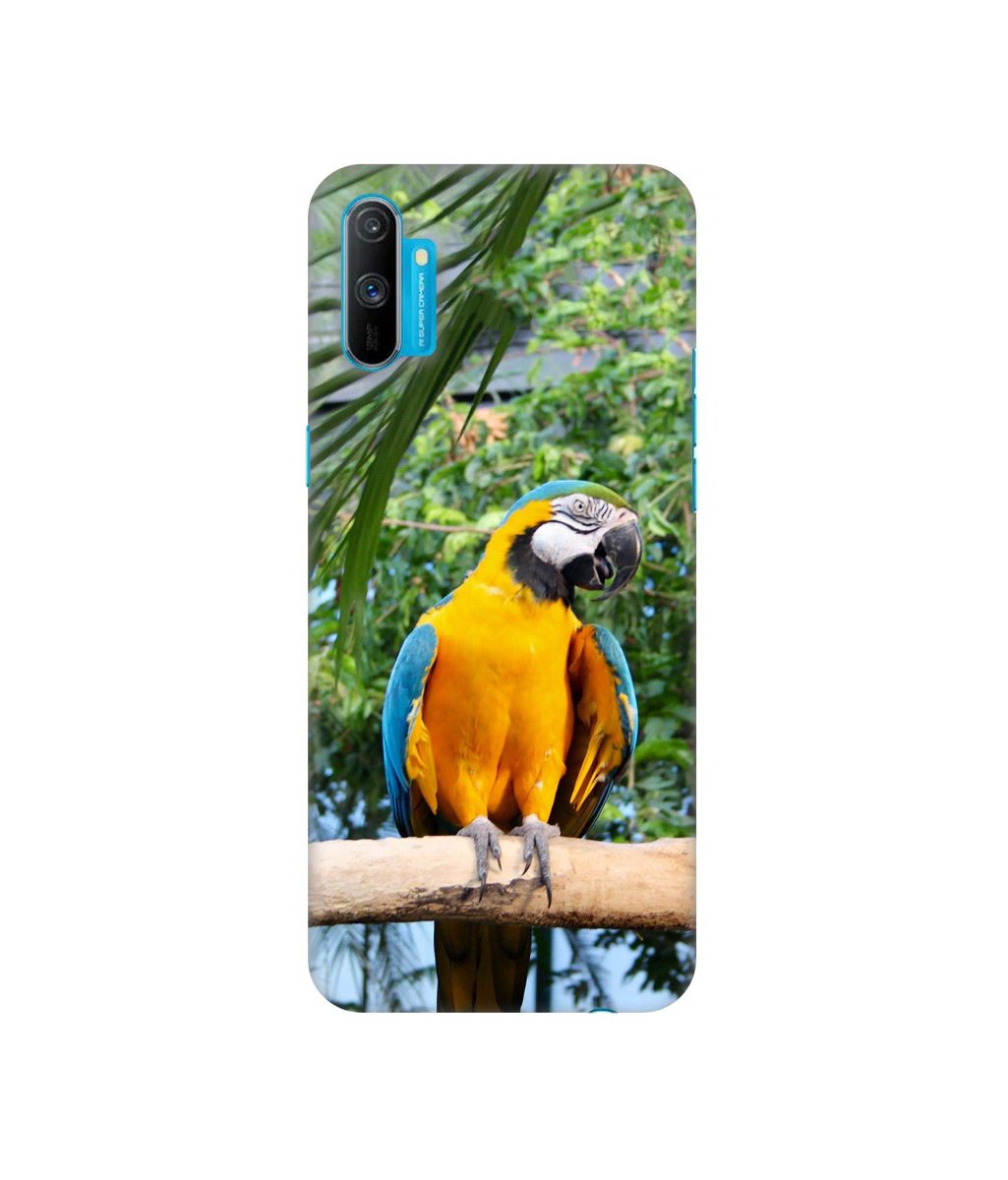 Amazon Brand - Solimo Designer Macaw Bird 3D Printed Hard Back Case Mobile Cover for Realme C3