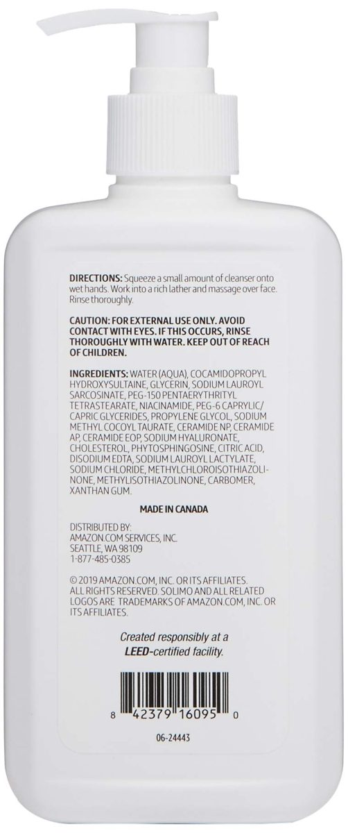 Amazon Brand - Solimo Foaming Cleanser for Oily Skin, 12oz (Pack of 2)