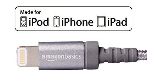 AmazonBasics 40W 4-Port USB Wall Charger