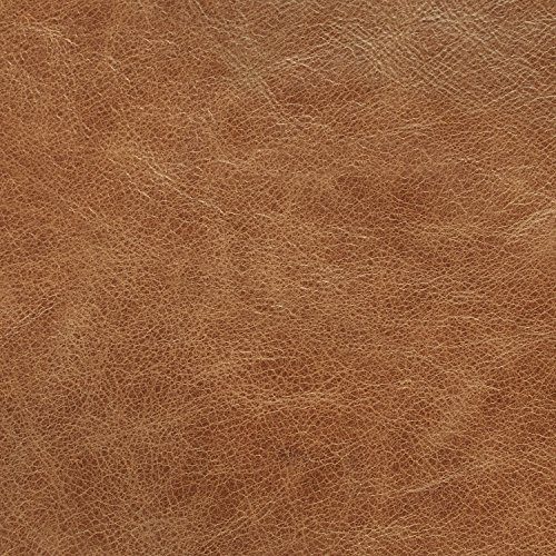 Rivet Cognac Swatch, Rivet