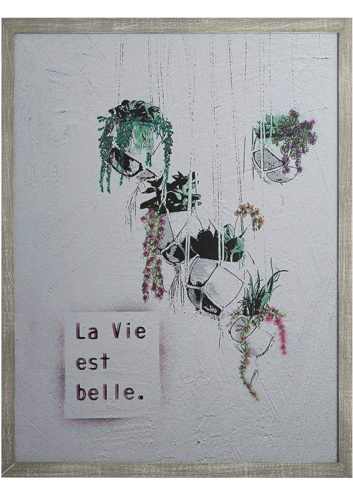 Amazon Brand – Rivet Life is Beautiful Hanging Plants Print Wall Art in Gray Wood Frame, 30.5" x 40.5"