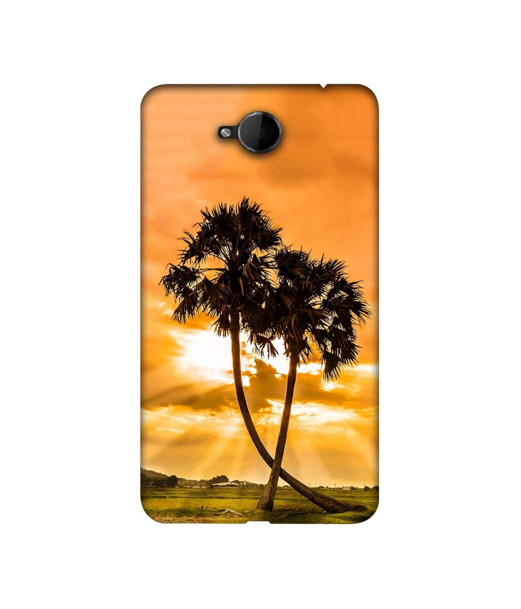 Amazon Brand - Solimo Designer SunSide View 3D Printed Hard Back Case Mobile Cover for Microsoft Lumia 650