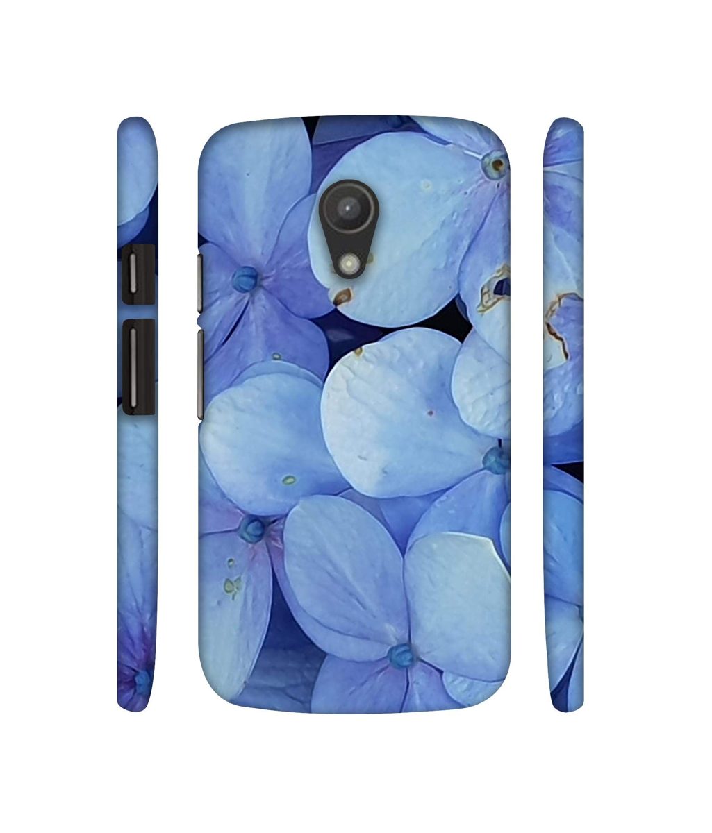 Amazon Brand - Solimo Designer Light Blue Flower Photography 3D Printed Hard Back Case Mobile Cover for Motorola Moto G 2nd Generation