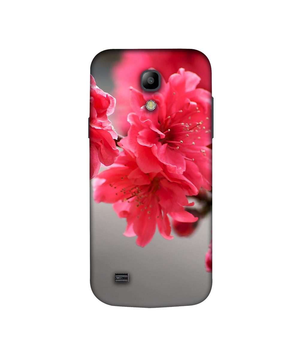 Amazon Brand - Solimo Designer Blossom Like Flower 3D Printed Hard Back Case Mobile Cover for Samsung Galaxy S4 Mini