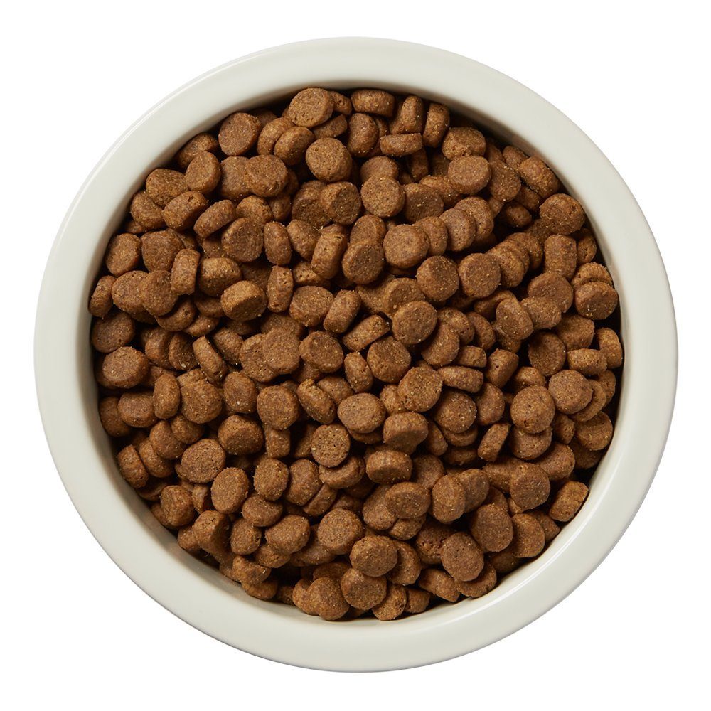 Amazon Brand - Wag Dry Dog Food Beef and Lentil Recipe with Wild Boar (5 lb. Bag) Trial