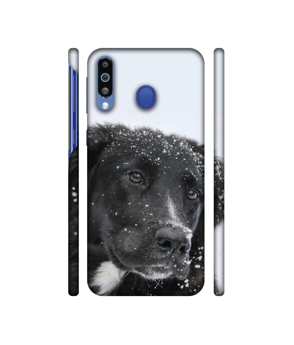 Amazon Brand - Solimo Designer Labrador Dog 3D Printed Hard Back Case Mobile Cover for Samsung Galaxy M21