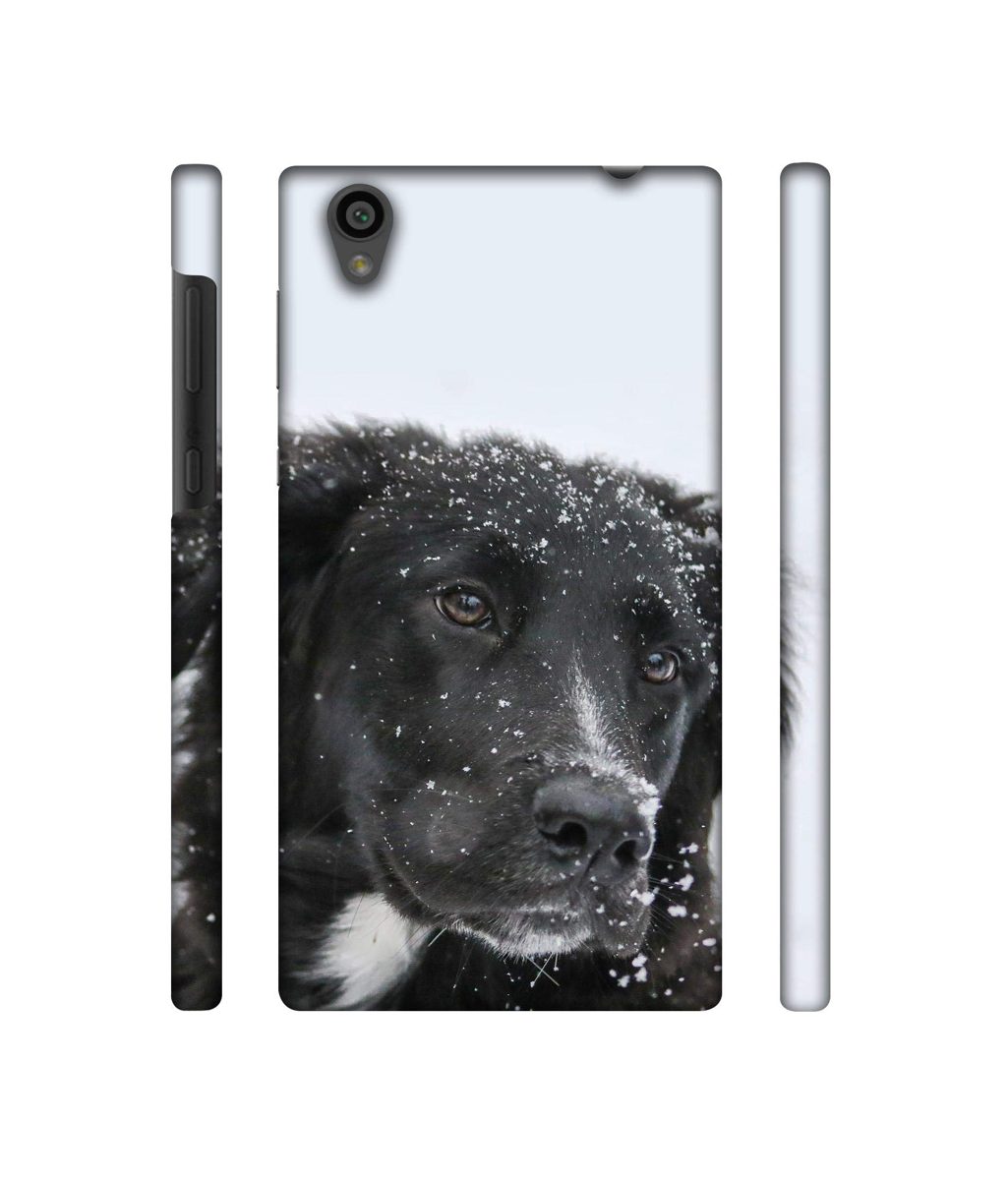 Amazon Brand - Solimo Designer Labrador Dog 3D Printed Hard Back Case Mobile Cover for Sony Xperia L1