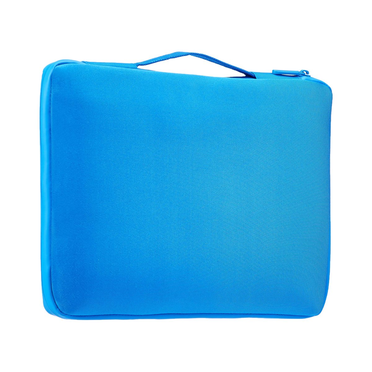 AmazonBasics 39.62 cm Professional Laptop Sleeve (With Retractable Handle) - Blue