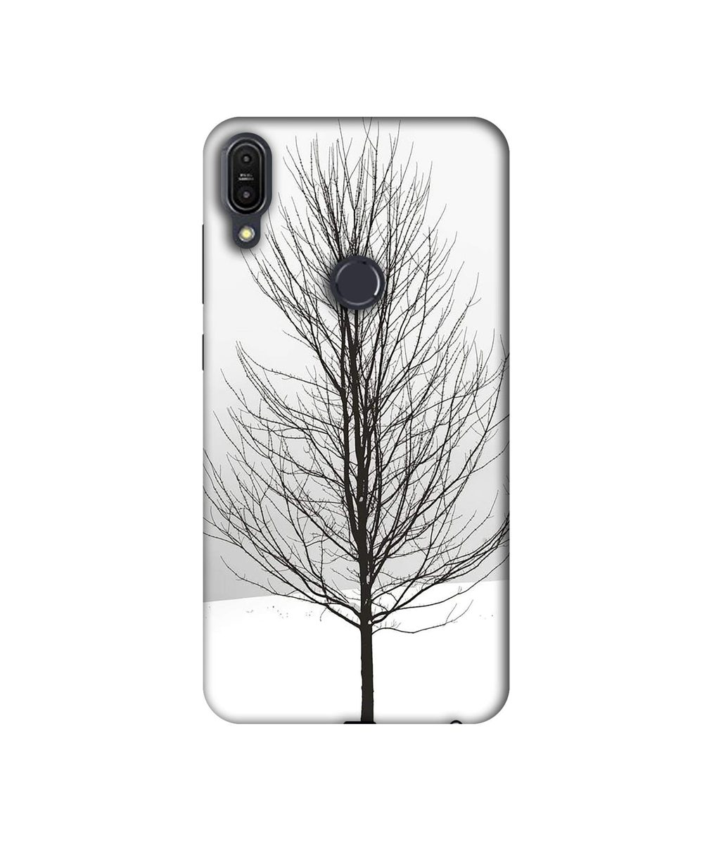 Amazon Brand - Solimo Designer Tree Sketch 3D Printed Hard Back Case Mobile Cover for Asus Zenfone Max Pro M1 ZB601KL
