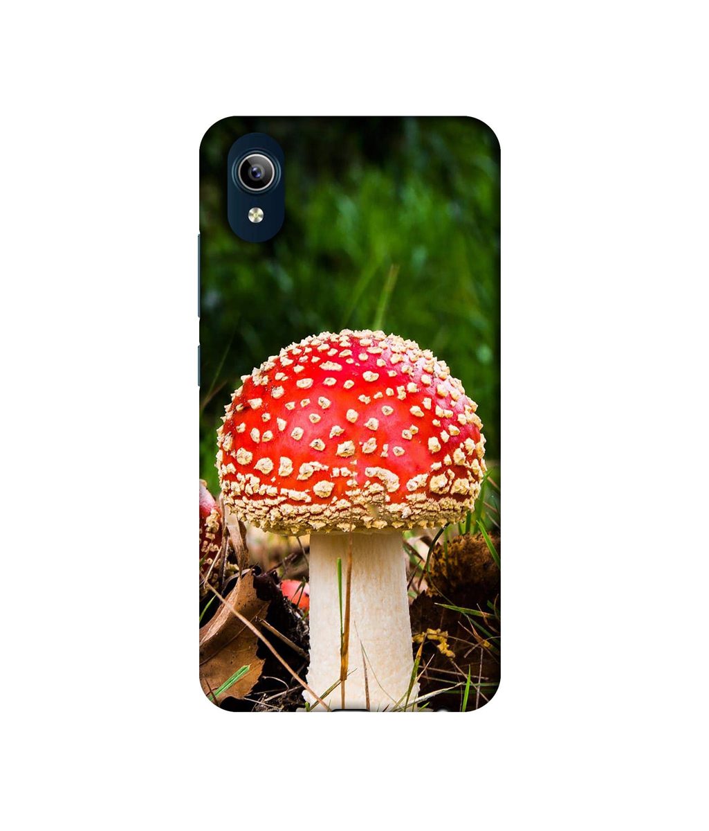 Amazon Brand - Solimo Designer Red Mushroom 3D Printed Hard Back Case Mobile Cover for Vivo Y91i