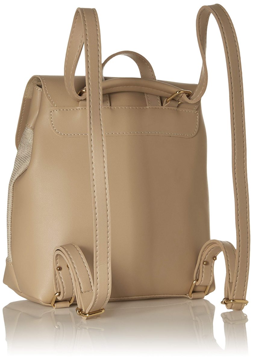 Flavia Women's Handbag (Beige)