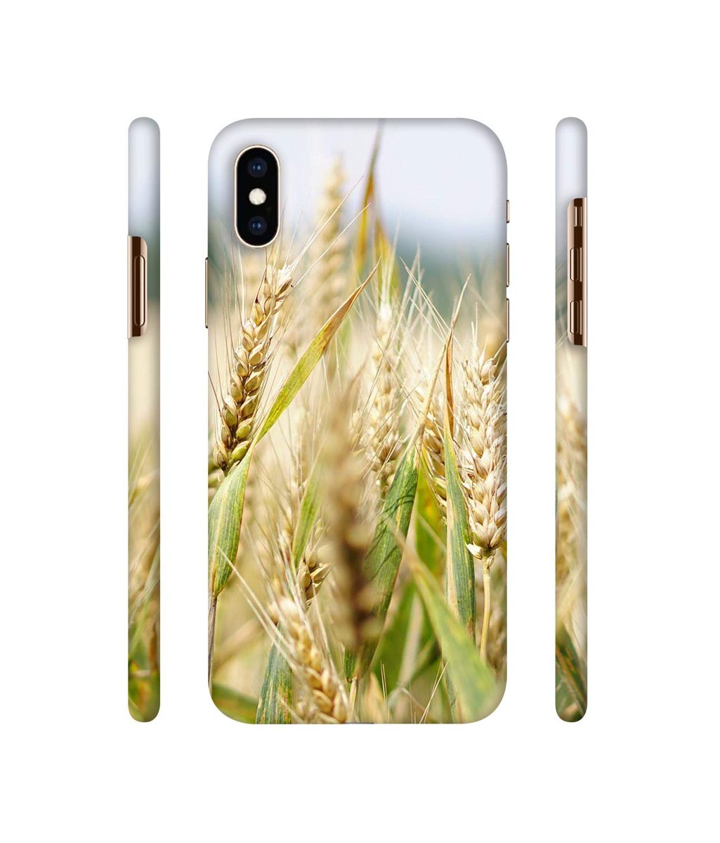 Amazon Brand - Solimo Designer Wheat Plant 3D Printed Hard Back Case Mobile Cover for Apple iPhone Xs Max