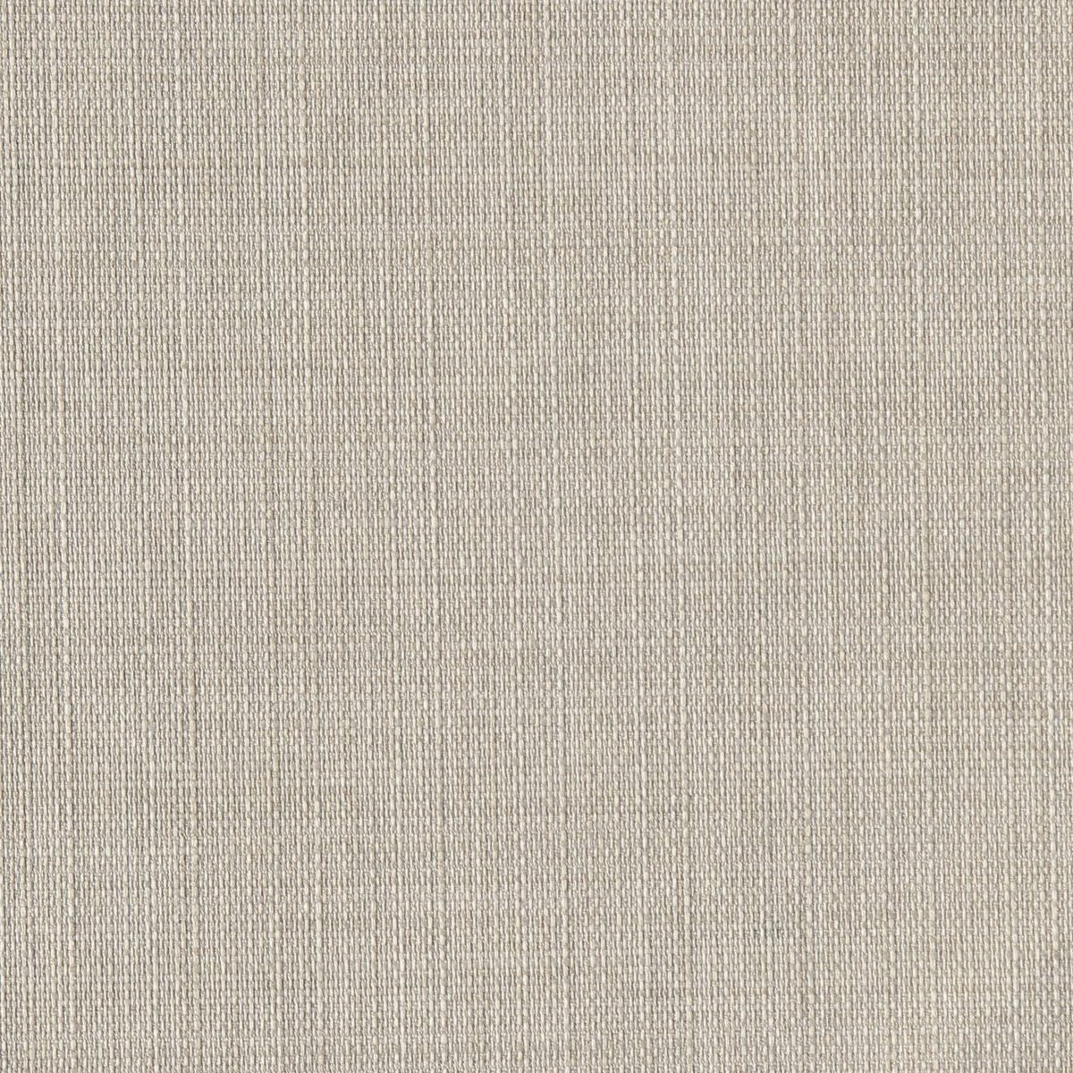 Amazon Brand – Ravenna Home Modern Dining Chair, 36.25 Inch Height, Beige, Set of 2