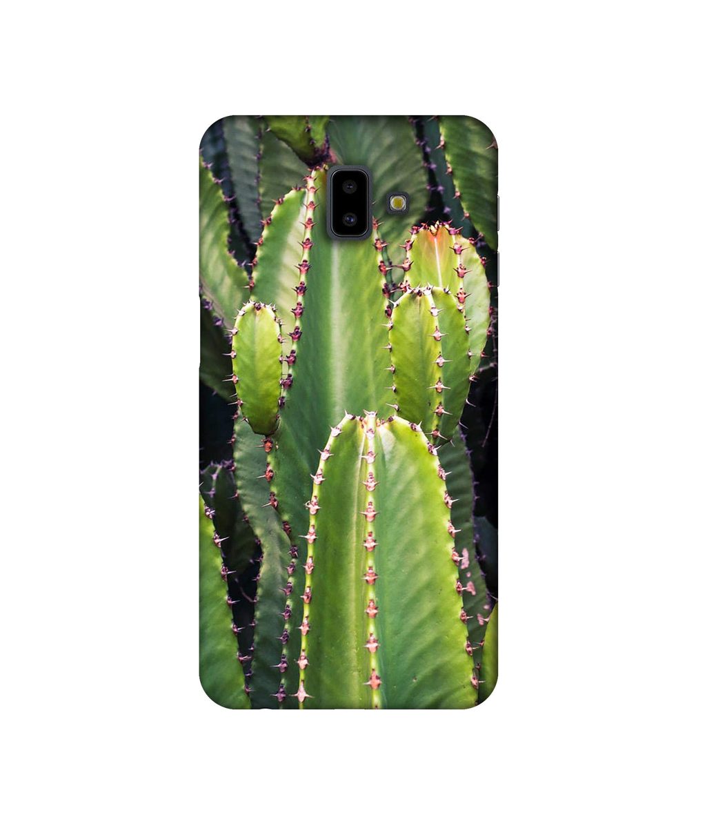 Amazon Brand - Solimo Designer Desert Plant 3D Printed Hard Back Case Mobile Cover for Samsung Galaxy J6 Plus