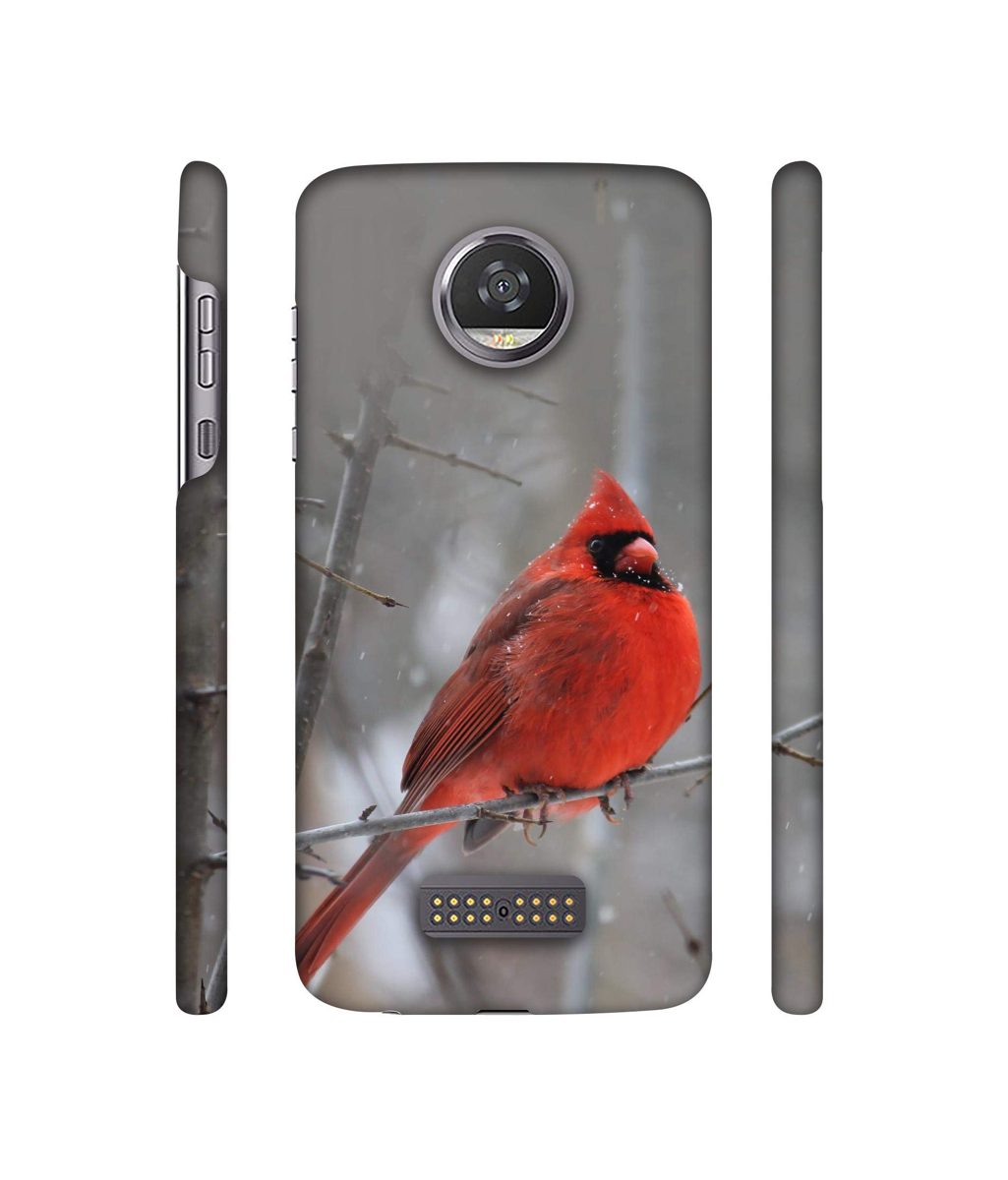 Amazon Brand - Solimo Designer Red Engry Bird 3D Printed Hard Back Case Mobile Cover for Moto Z2 Play