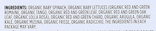 WHOLE FOODS MARKET Organic Spring Spinach Mix Clm 5Ozsld, 5 OZ
