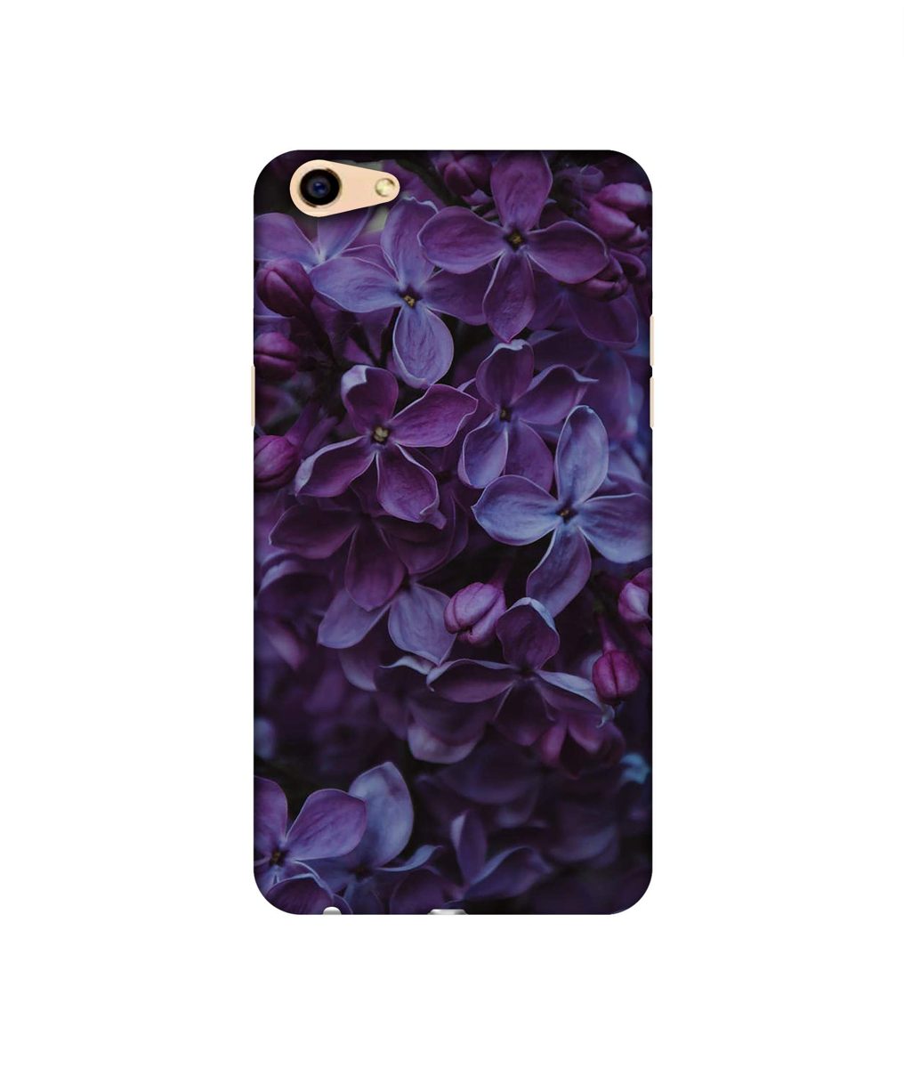 Amazon Brand - Solimo Designer Purple Flowers 3D Printed Hard Back Case Mobile Cover for Oppo F3