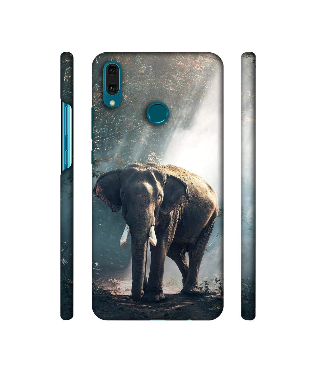 Amazon Brand - Solimo Designer Elephant 3D Printed Hard Back Case Mobile Cover for Huawei Y9 (2019)