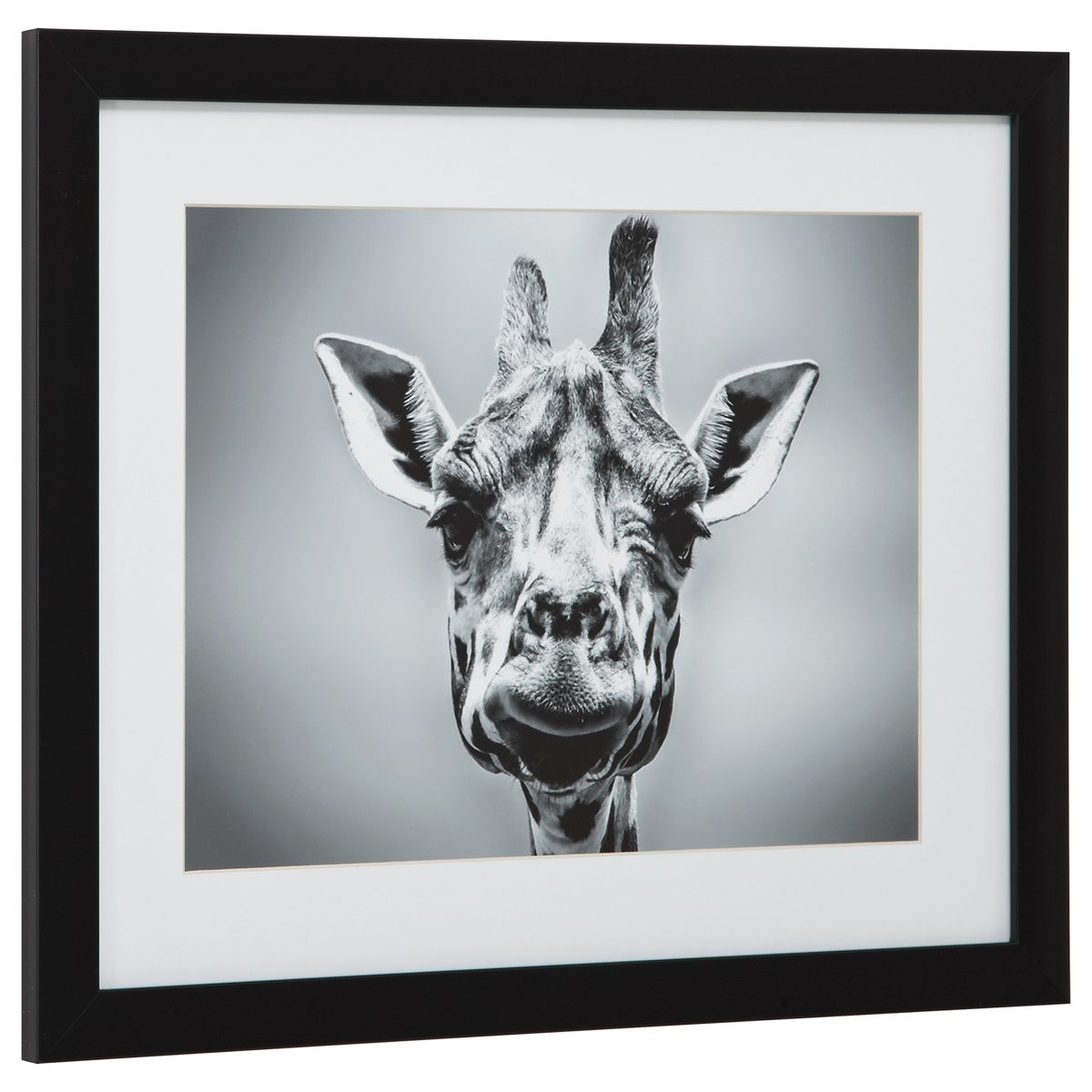 Amazon Brand – Stone & Beam Modern Black and White Giraffe Portrait Photo Print Framed Wall Art Decor - 18 x 22 Inch Frame, Black
