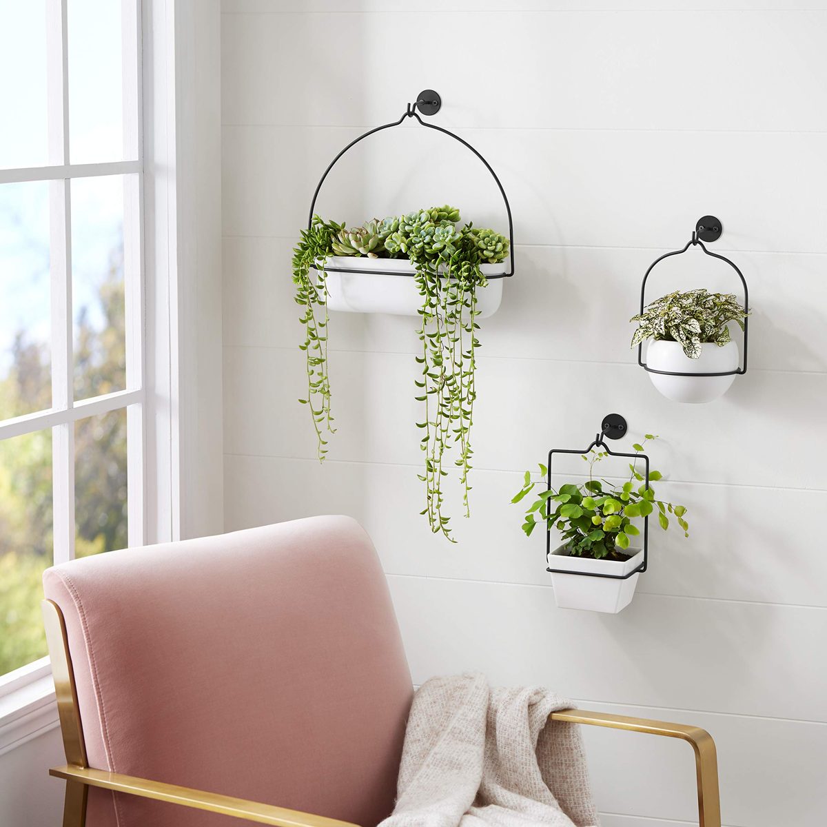 AmazonBasics Hanging Planter, Square - White/Black (2-Pack)