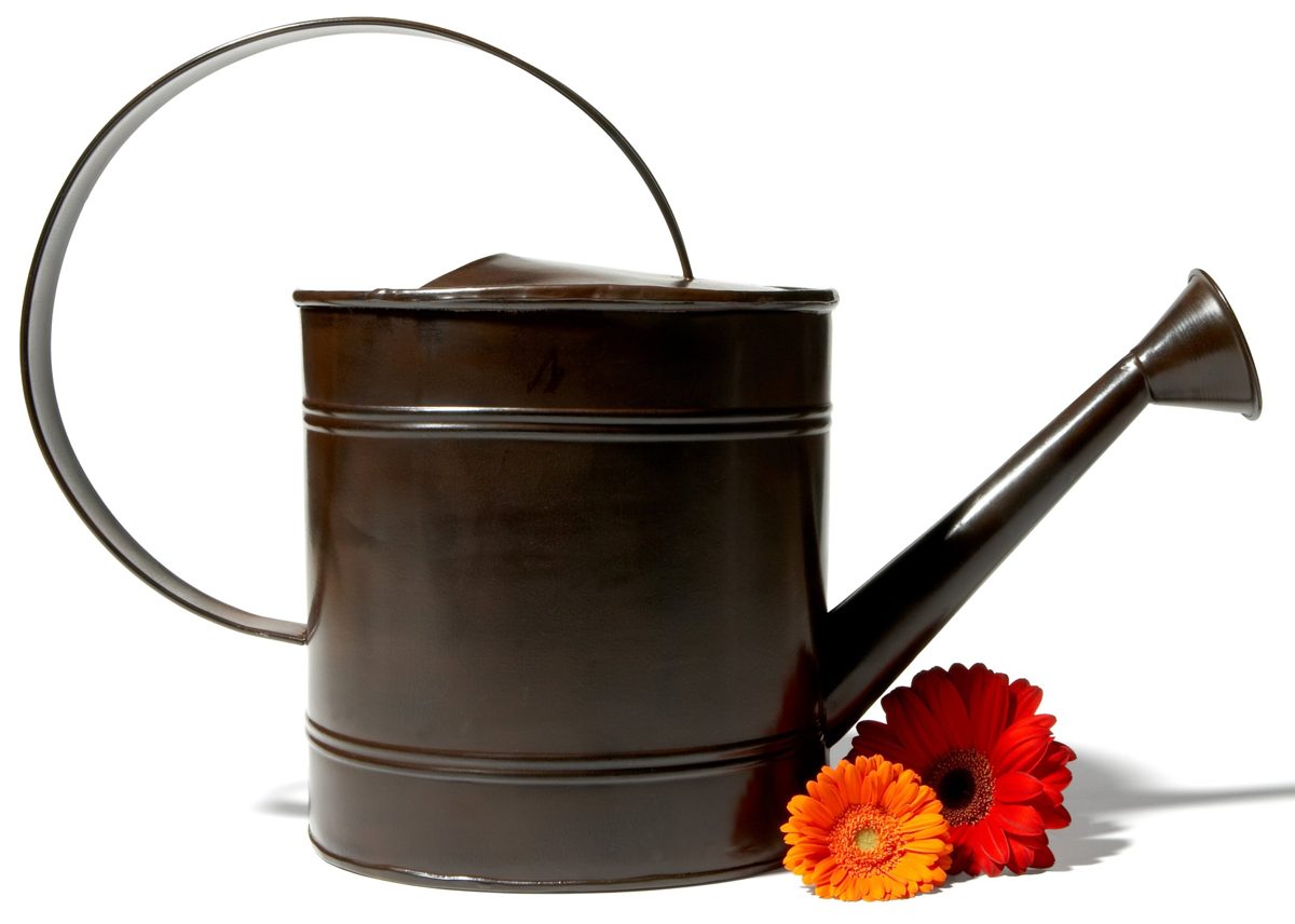 Strathwood Watering Can with Antique Bronze Finish