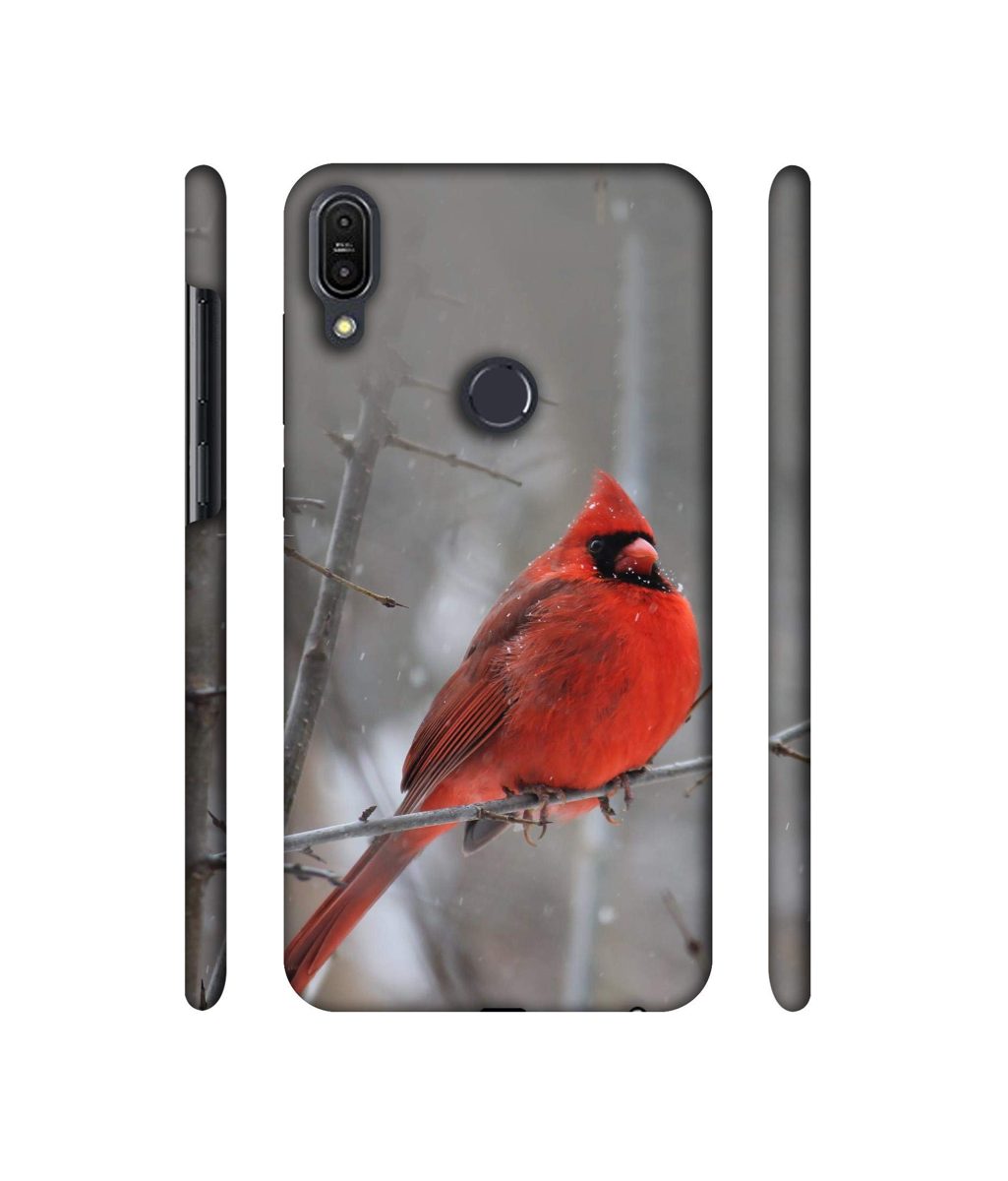 Amazon Brand - Solimo Designer Red Engry Bird 3D Printed Hard Back Case Mobile Cover for Asus Zenfone Max Pro M1 ZB601KL